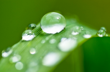 acqua nel terreno del giardino biodinamico