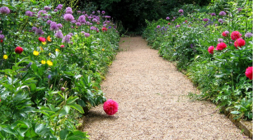 giardino biodinamico