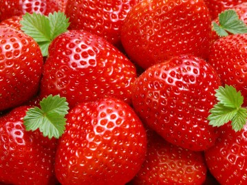 Coltivazione biologica della fragola