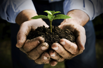 Fasi di progettazione di un giardino biodinamico