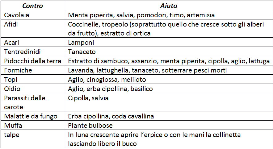 C:\Users\SBS1\Desktop\lotta_ai_parassiti_delle_piante.png