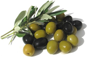 mosche delle olive